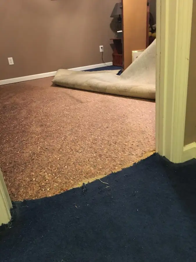 Carpet pad removal revealing water damage during Drying & Dehumidification in Taylorville