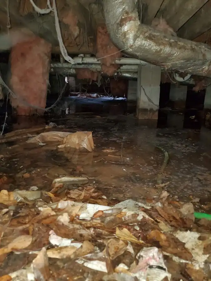 Crawl space flood assessment for Leak Detection & Repair in Taylorville