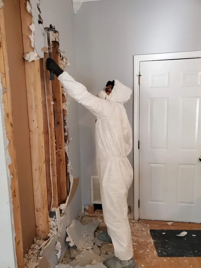 Water Damage Restoration services in Taylorville, IL
